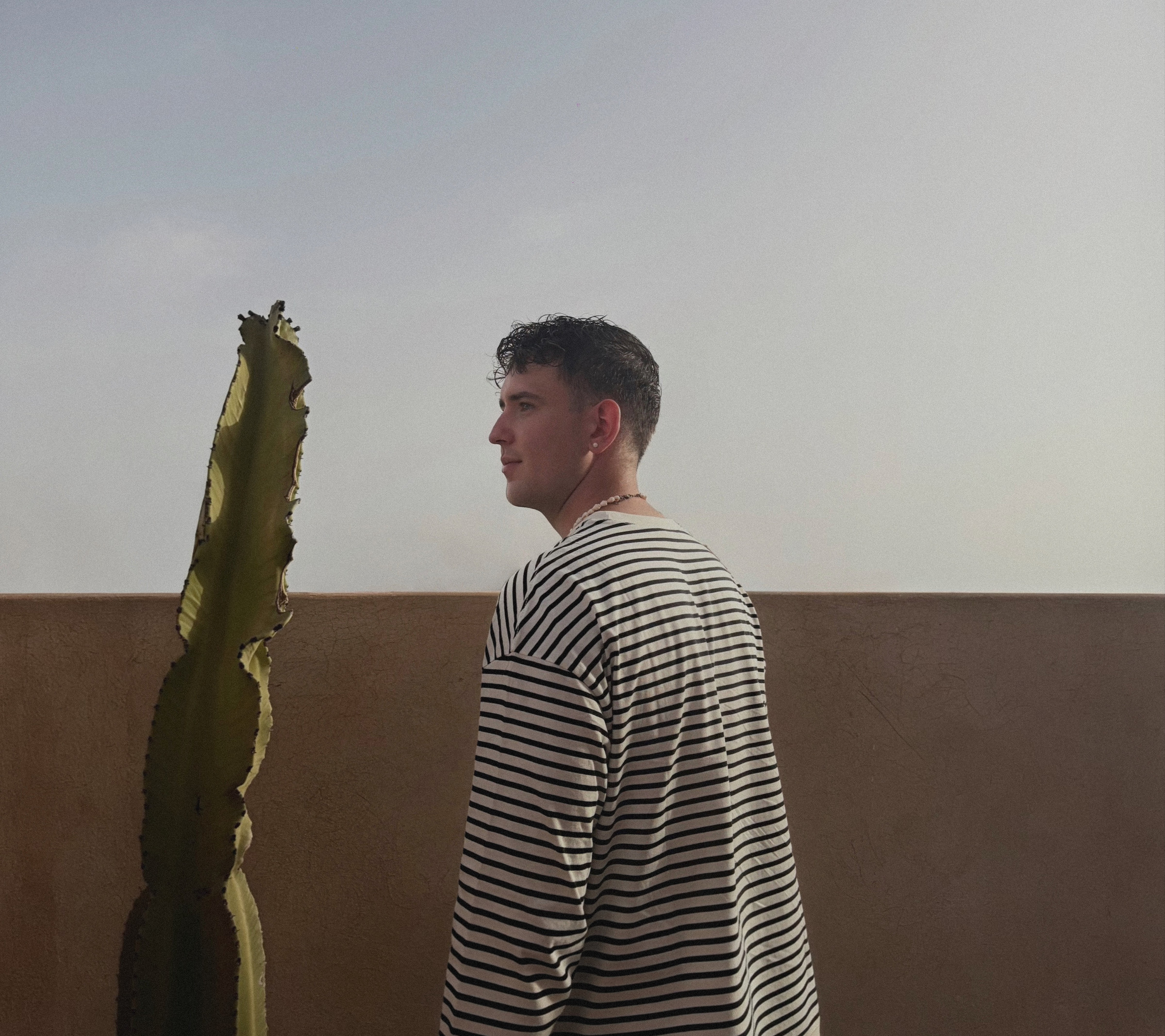 BUMMA in a striped shirt, seen from the side, standing next to a tall cactus on a rooftop